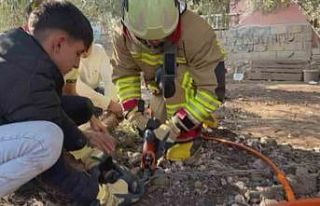 Patisi zincire sıkışan köpeğe hayat kurtaran...