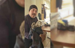 Payas’ta yaralı şahin bulundu