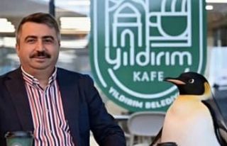 Penguen sürüden ayrılırken belediyeler boş durmadı