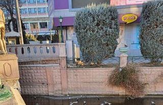 Porsuk’un donduğunun resmidir