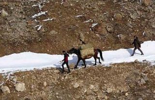 Prof. Dr. Lokman Aslan: "Yaban hayvanlarına...