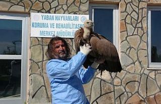 Prof. Dr. Lokman Aslan’dan kritik uyarı: "Yaban...