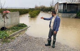 Sağanak sonrası evde mahsur kalan 4 köpek iş makinesiyle...