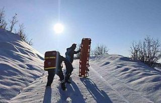 Sağlık ekipleri jandarma eşliğinde 1,5 kilometrelik...