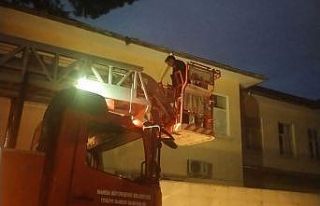 Salihli’de çatıda mahsur kalan kedi kurtarıldı