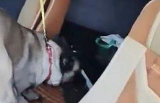 Samsun’da tırda metamfetamin ele geçirildi