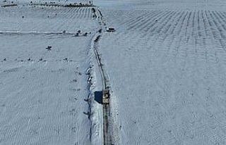 Şanlıurfa kırsalındaki yollar ulaşıma açıldı