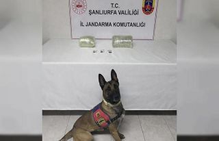 Şanlıurfa’da 2 kilo kubar esrar ele geçirildi:...