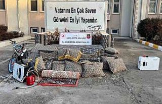 Şanlıurfa’da bağ evinde hırsızlık: 4 gözaltı