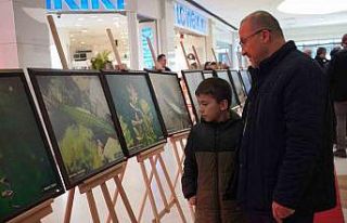 Sapanca Gölü fotoğrafları Gazze için umuda dönüştü:...