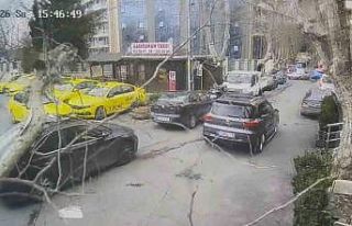 Sarıyer’de çınar ağacı otomobilin üzerine...