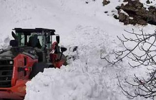 Sason’da kapanan mezra yolları ulaşıma açıldı