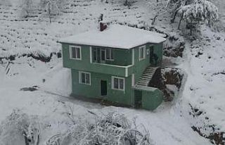 Şehit ailesi harabe köy evinden kurtuldu, yeni yuvalarına...