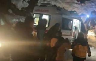 Şemdinli’de 1 metrelik karda hayat mesaisi: Zehirlenen...