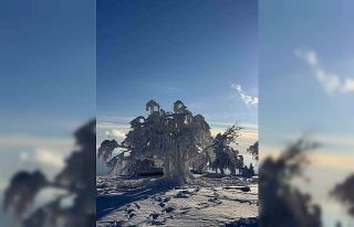 Sibirya değil Çataldağ