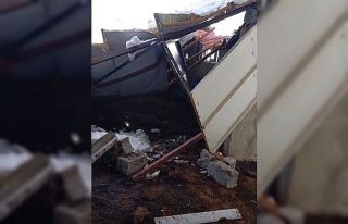 Siirt’te 5 buzağı çöken çatının altında...