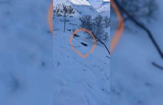 Şırnak’ta 5 kişinin yaşadığı eve çığ düştü