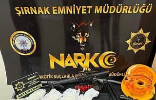 Şırnak’ta asayiş, narkotik ve kaçakçılık...