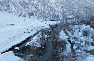 Şırnak’ta dereler buz tuttu