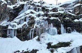 Şırnak’ta etkili olan karla ’Kanlıdere’ beyaza...