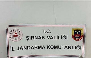 Şırnak’ta jandarma ekiplerinden kaçakçılığa...