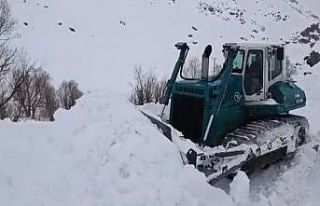 Şırnak’ta kar kalınlığı 2 metreyi aştı,...