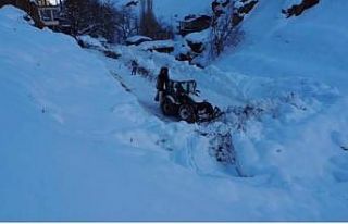 Şırnak’ta karla mücadele çalışmaları aralıksız...