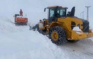 Şırnak’ta karla mücadele çalışmaları devam...