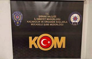 Şırnak’ta narkotik ve kaçakçılık operasyonu:...