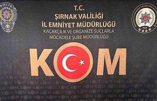 Şırnak’ta silah, uyuşturucu ve milyonluk kaçak...