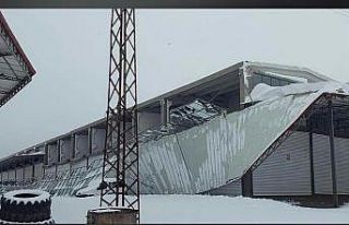 Siverek’te kar felaketi: Ahırlar ve sanayi sitelerinde...