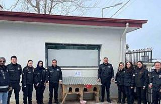 Sivrice polisinden üşüyen minik dostlarına kedi...