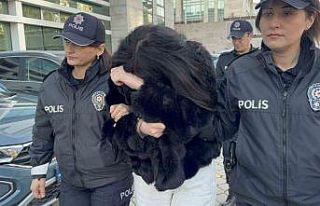 Sosyal medyadan bekçi ve polislere hakaret eden kadın...