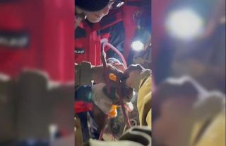 Su pompası deliğine düşen yavru kediyi itfaiye...