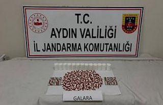 Şüpheli şahsın üzerinde bin 53 uyuşturucu hap...