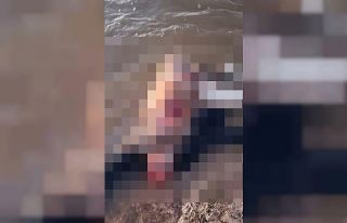 Suriye’de su kanalında erkek cesedi bulundu