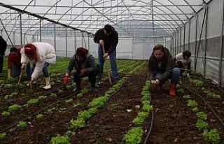 Tarım Akademisi’nde 16-55 yaş arası aday çiftçilere...