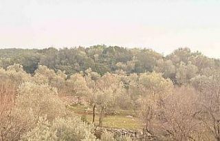 Tarlada aniden fenalaşan bir kişi hayatını kaybetti