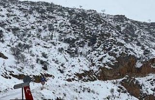 Taşyolu’nda çığ düştü, güzergâh ulaşıma...