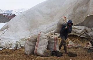 Tatvan’da yayladan besiye dönüş