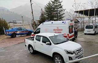 Tavşan avında kazara arkadaşını vurdu