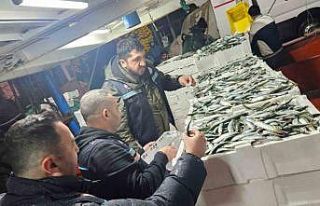 Tekirdağ’da gırgır teknelerinde su ürünleri...