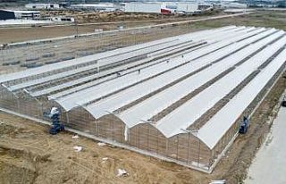 TKDK’dan 2025’te 61 projeye 123 milyon TL hibe