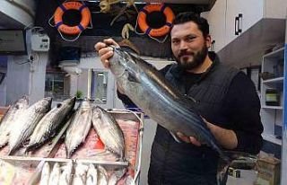 Torik tezgahlara geç geldi ama yüzleri güldürüdü
