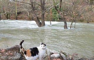 Toroslar’da yağış bereketi kuruyan Üzümdere...
