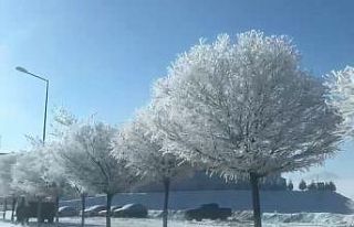 Tufanbeyli’de eksi 20 derecede kartpostallık manzara