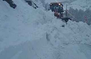 Tunceli-Ovacık yolunda çığ: Ulaşım kısa sürede...