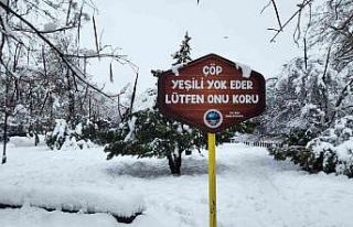 Tunceli’de yoğun kar yağışı etkili oldu