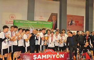 Türkiye’nin Yıldızları Salihli’de parladı:...