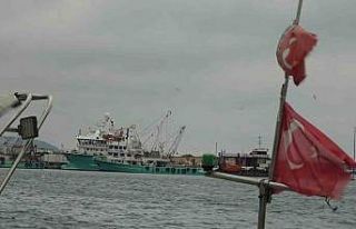 Türkiye’yi terk eden hamsinin yolu gözleniyor